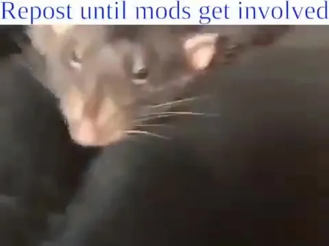 Repost Until Mods Get Involved