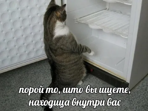 То, что вы ищете, внутри вас