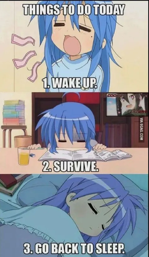 Things to Do Today