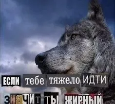Если тяжело идти, ты жирный