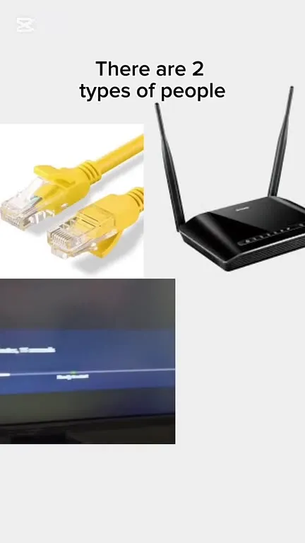 Two Types of Internet Users