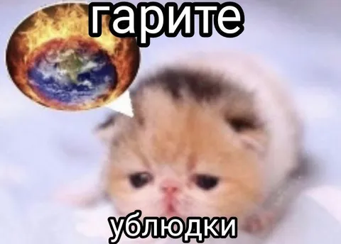Кот говорит «Гарите, ублюдки»