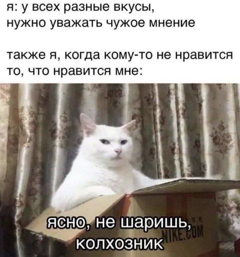 Когда не понимают твой вкус