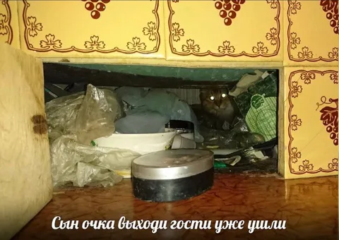 Сын очка, гости ушли