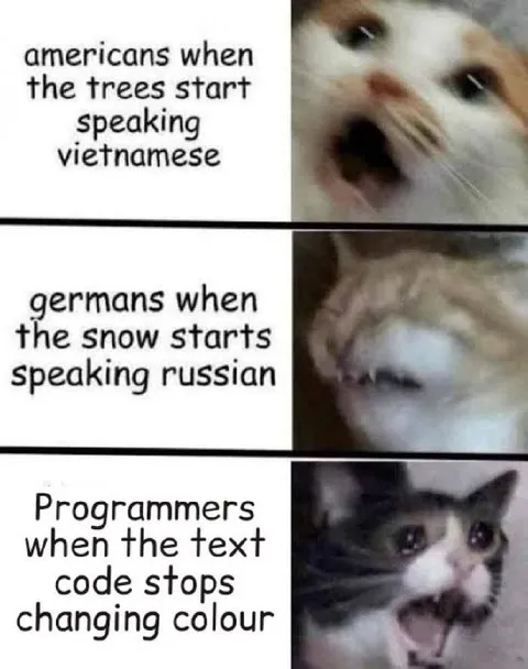 Cats React to Speaking Things