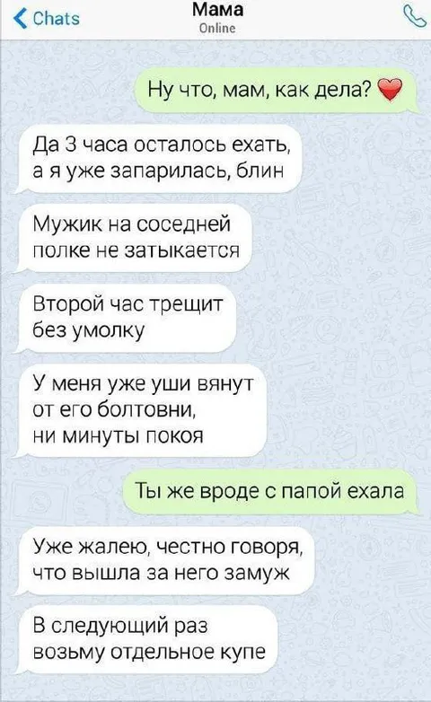 Мама едет в поезде с болтливым мужиком