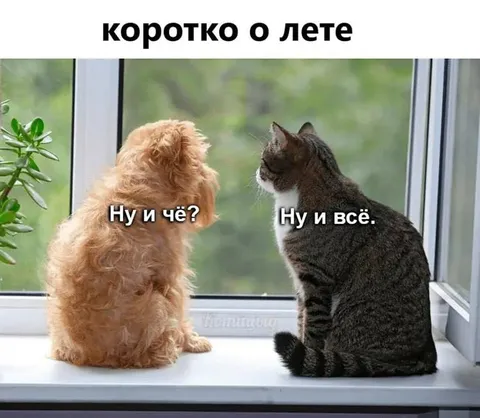 Коротко о лете: ну и всё
