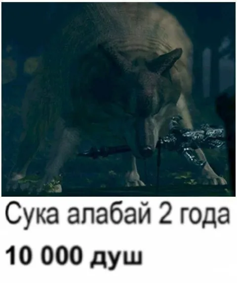 Алабай на десять тысяч душ