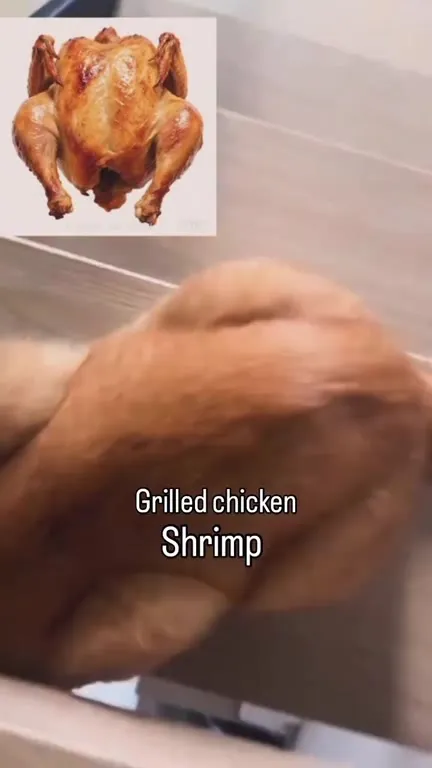Grilled Chicken Shnimp Cat