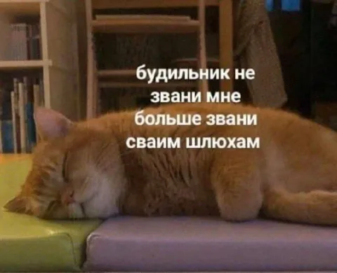 Будильник не звони мне