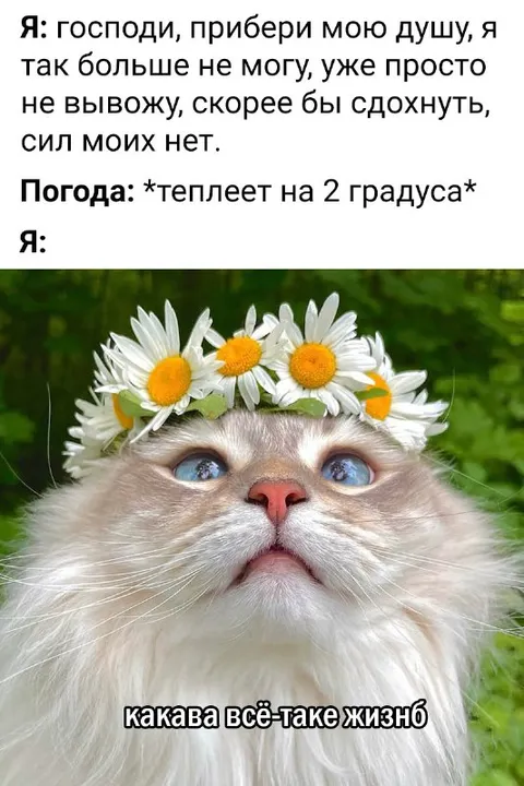 Господи, прибери мою душу