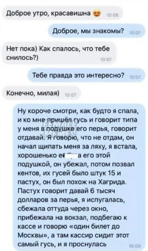 Гусь в кассе до Москвы