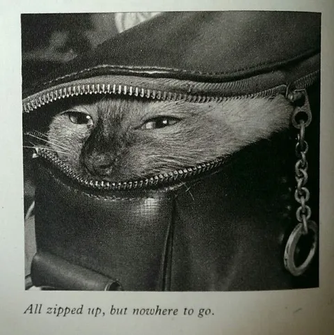 All Zipped Up, Nowhere to Go