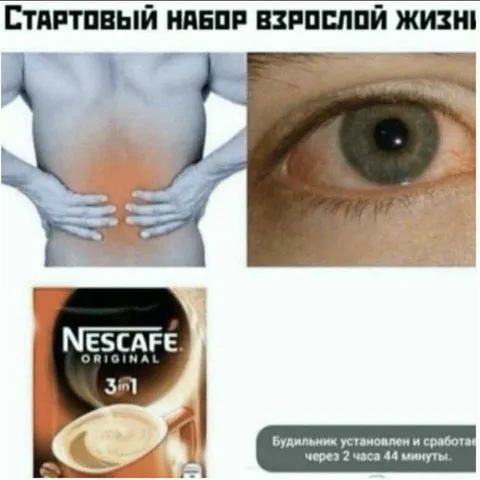 Стартовый набор взрослой жизни