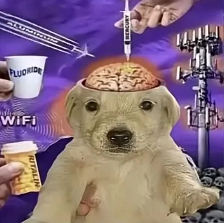 Fluoride WiFi Brainwashed Dog