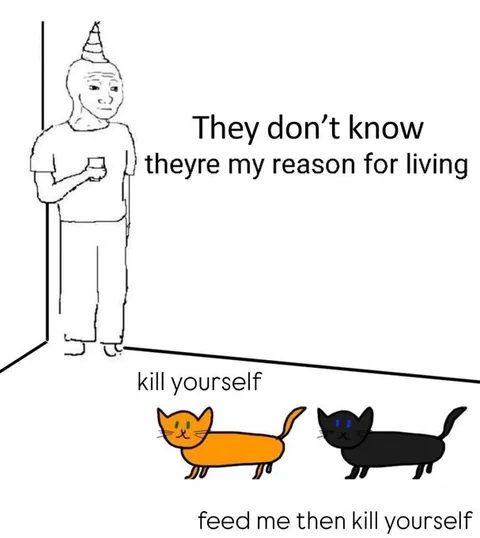 Cats Are My Reason for Living