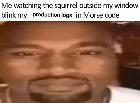 Squirrel Blinking Production Logs