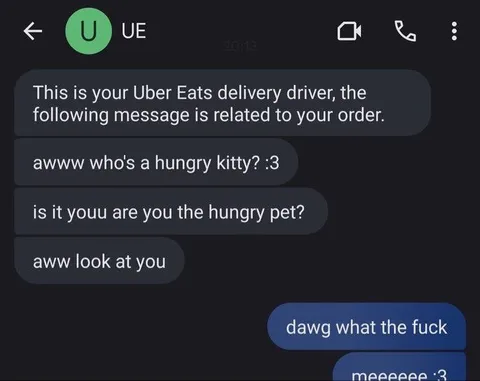 Uber Eats Hungry Kitty Driver