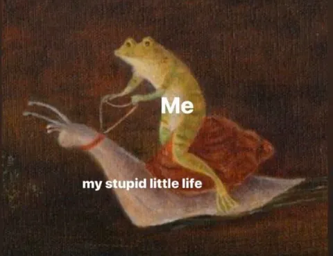 Frog Riding My Stupid Little Life