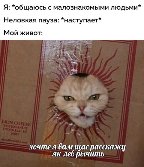 Когда общение вызывает ярость