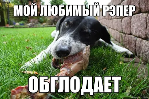 Мой любимый рэпер обгладывает