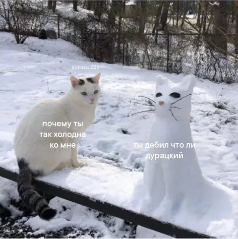 Почему ты так холодна ко мне