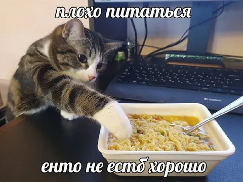 Кот плохо питается лапой