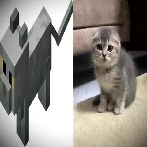 Котята под музыку SEGA