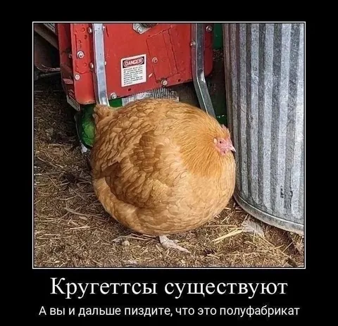 Круретты существуют