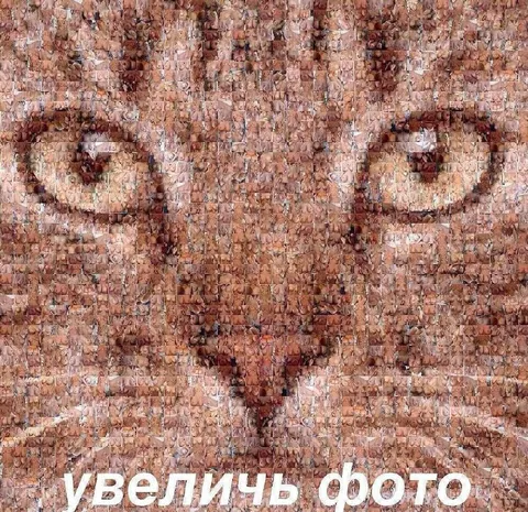 Увеличь фото