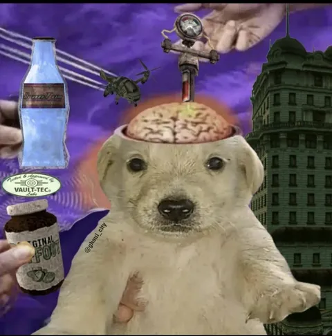 Fallout Brain Bear Collage