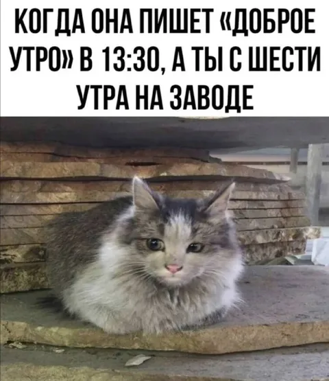 Доброе утро после смены