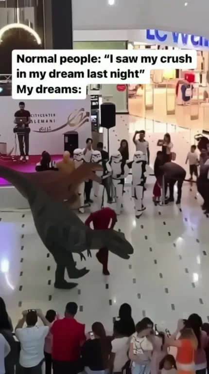 My Dreams Are Complete Chaos