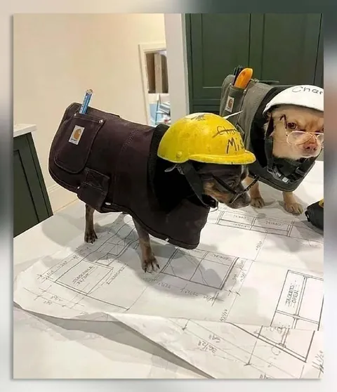 Dog Construction Crew