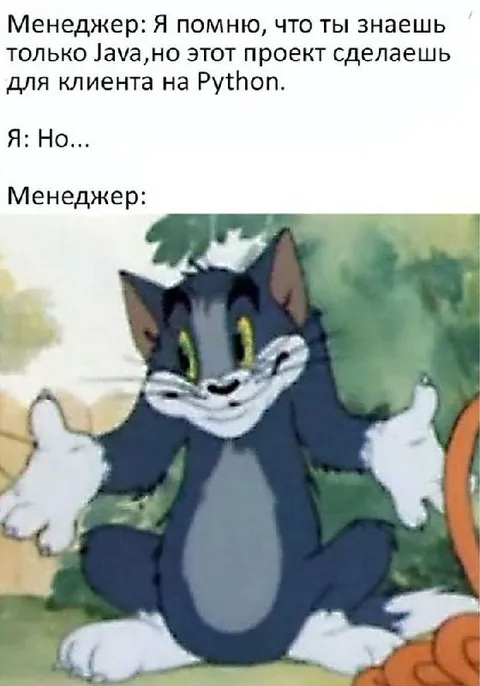 Менеджер предлагает проект на Python
