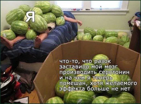 Мозг производит серотонин