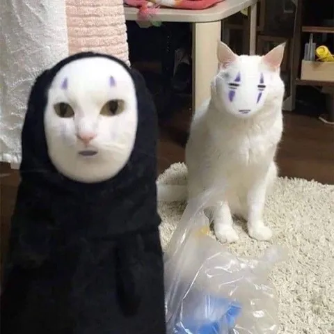 Кот и человек в одинаковых масках