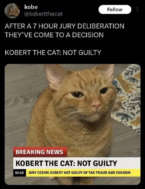Kobert the Cat Not Guilty