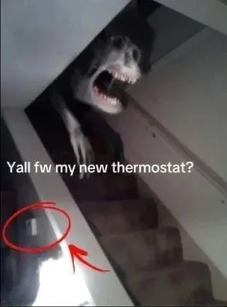 New Thermostat Reveal