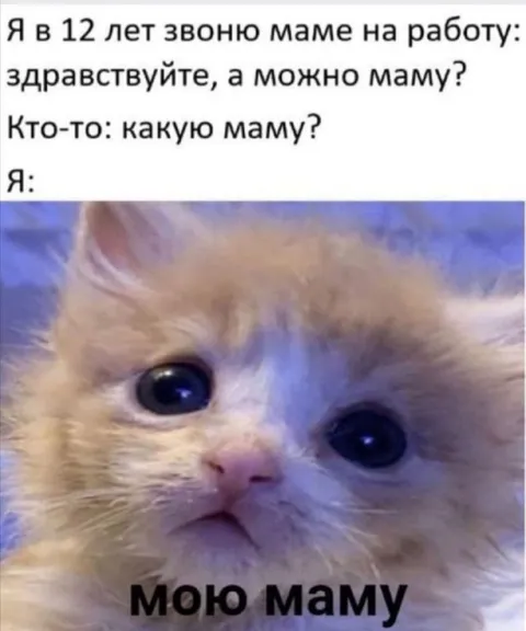 Какую маму? Мою маму