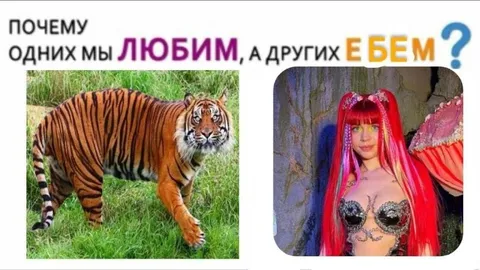 Почему любим, а других ебем