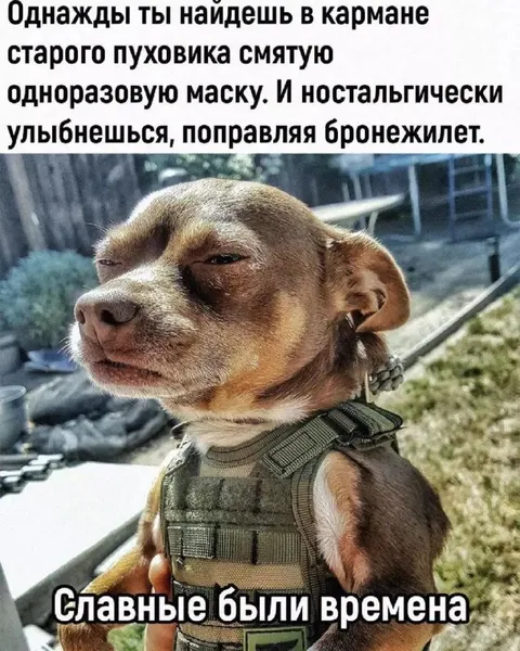 Ностальгия по старому пуховику