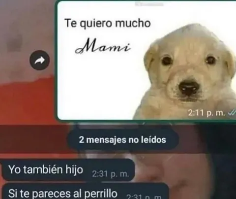 Te quiero mucho, mami