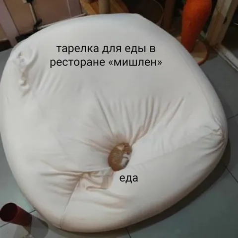 Тарелка еды в ресторане «мишлен»