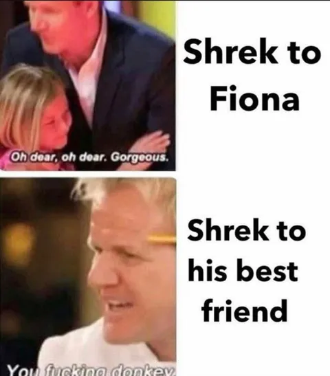 Shrek Talks to His Best Friend