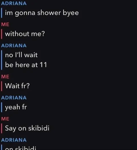 Say on skibidi
