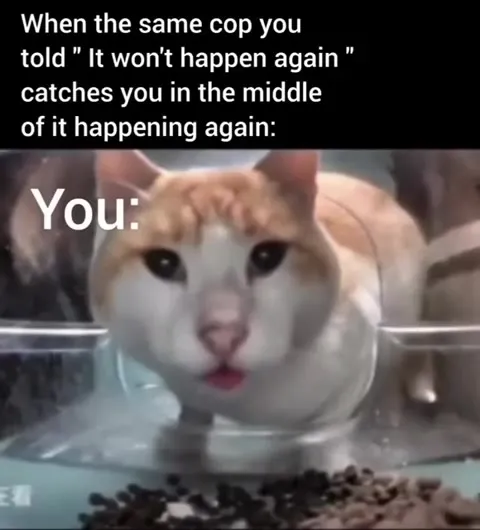 Cat Caught Doing It Again
