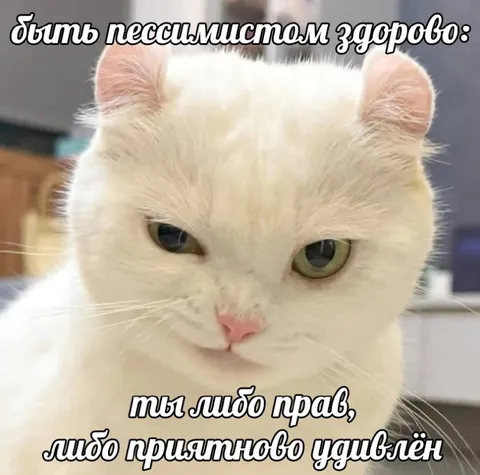 Пессимист всегда прав