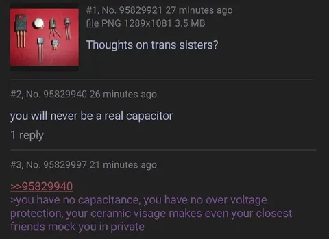 Thoughts on Trans Sisters