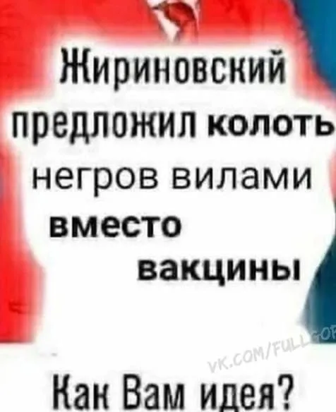 Жириновский предложил колоть негров вилами